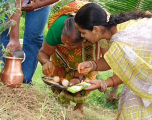 The Importance of nagula chavithi. Nagula Chavithi Festival dedicated to nagas snakes in india, Festival Of nagula chavithi, Nagula Chavithi Pooja
